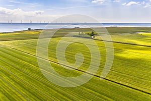 Fresh mowed green agricultural grassland