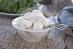 Fresh Mozzarella cheese