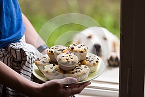 Fresh muffins with chocolate decoration next to a window, cute hungry white dog is watching the food.