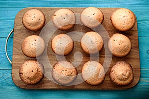 Fresh muffins on a cutting board on a wooden blue background. Ba
