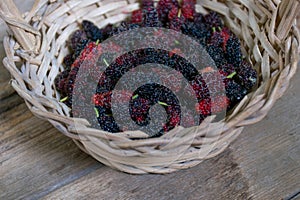 Fresh mulberries.