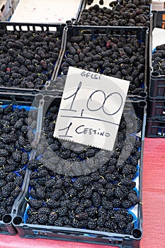 Fresh mulberries sold at a market in Italy (translation: gelsi