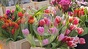 Fresh multi colored and various tulips and other flowers in bouquets are sold in an open market. Spring flowers