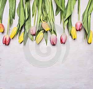 Fresh multicolored tulips, spring, flowers border ,place for text on wooden rustic background top view close up