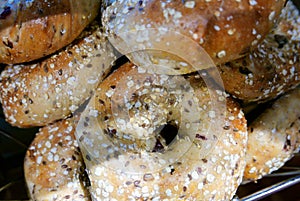 Fresh Multigrain Bagels at Bakery