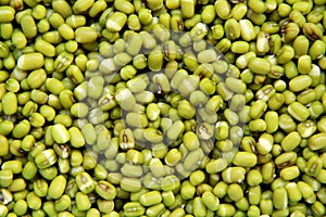 Fresh Mung Bean