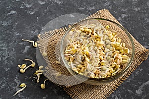 Fresh mung bean sprouts in glass bowl on gray background