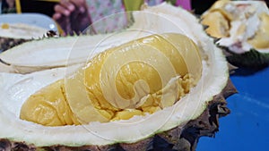 Fresh Musang King Durian photo