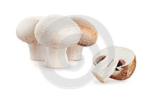 Fresh mushroom champignon on white background