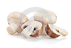 Fresh mushroom champignon on white background