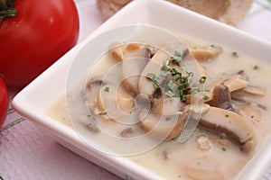 Fresh mushroom soup