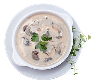 Fresh Mushroom Soup (on white)