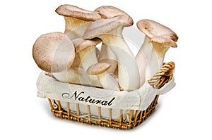 Fresh mushrooms in a basket. King trumpet.