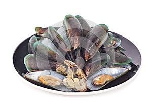 Fresh mussel on dish on white background