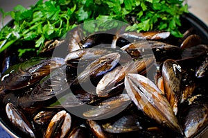 Fresh mussels