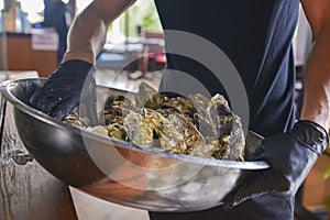 Fresh mussels in copper dish in hands. Waiter with a big bowl of mussels in a restaurant.
