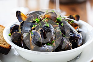 Fresh Mussels from the Isle of Mull photo