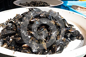 fresh mussels at the market