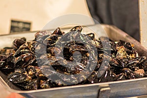 Fresh mussels mollusk on a scale in a fish market