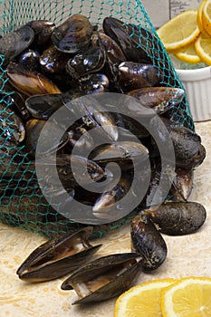 Fresh Mussels - Moules marinieres