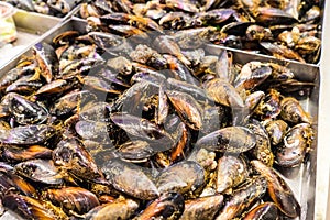 Fresco conchas El mercado 