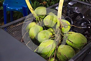 Fresh natural agricultural green coconut fruits in farmer food market stall. Nutrition, Food and Drink, Organic Farm and Garden,