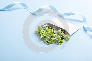 Fresh natural green flowers with blue ribbon on blue background