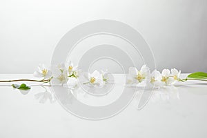 Fresh and natural jasmine flowers on