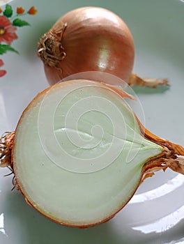 Fresh and natural onions, grown by local residents, West Kalimantan, Indonesia photo