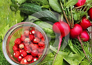 Fresh natural organic products - vegetables, herbs, berries, top view. cucumbers, radishes, dill, lettuce and strawberries in a