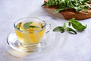 Fresh natural sage herbal tea in glass cup