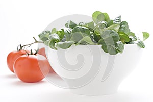 Fresh natural salad bowl tomato lettuce onion