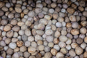 Fresh natural shelled unsalted raw