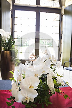 Fresh natural white orchid flower with a green leaves in vase