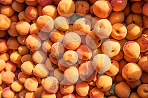Fresh natural wild apricots on the street market