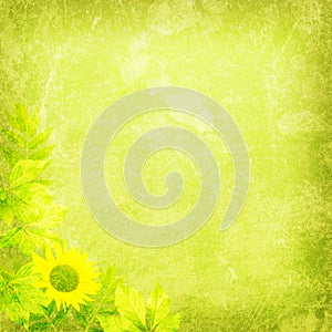 Fresh nature background texture