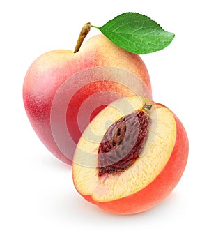 Fresh nectarine peach