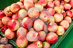 Fresh nectarines at the market