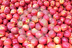 Fresh nectarines for sale