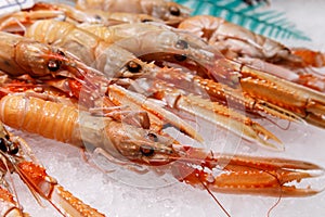 Fresh Nephrops from a market