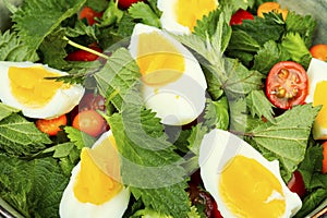 Fresh nettle salad with egg