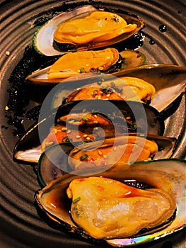 Fresh New Zealand Mussel in the dish