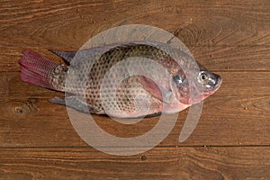 Fresh Nile tilapia Mango fish Nilotica Fish on Ice and wooden Background