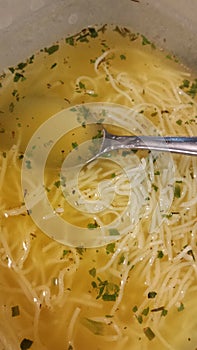 Fresh noodle soup