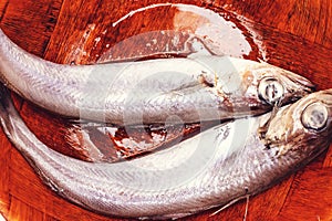 Fresh note baked blue whiting fish on plate