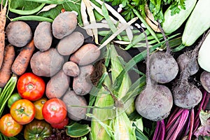 Fresh nutrient organic vegetables background. Sustainable farming agriculture  market