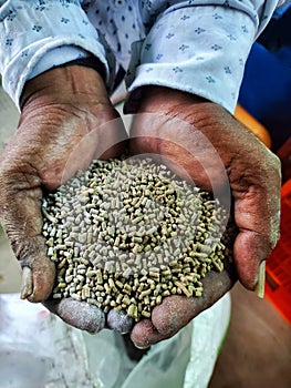 fresh and nutritious floating shrimp feed fish feed in hand HD