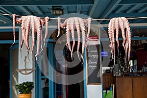 Fresh Octopi Drying