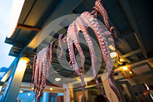 Fresh Octopi Drying