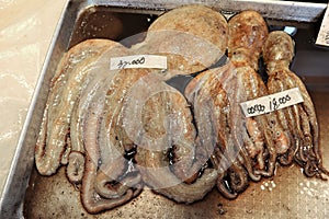 Fresh octopus as street food in Jeju photo